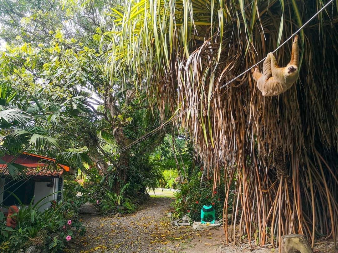 Cabinas Tito Cahuita Kültér fotó