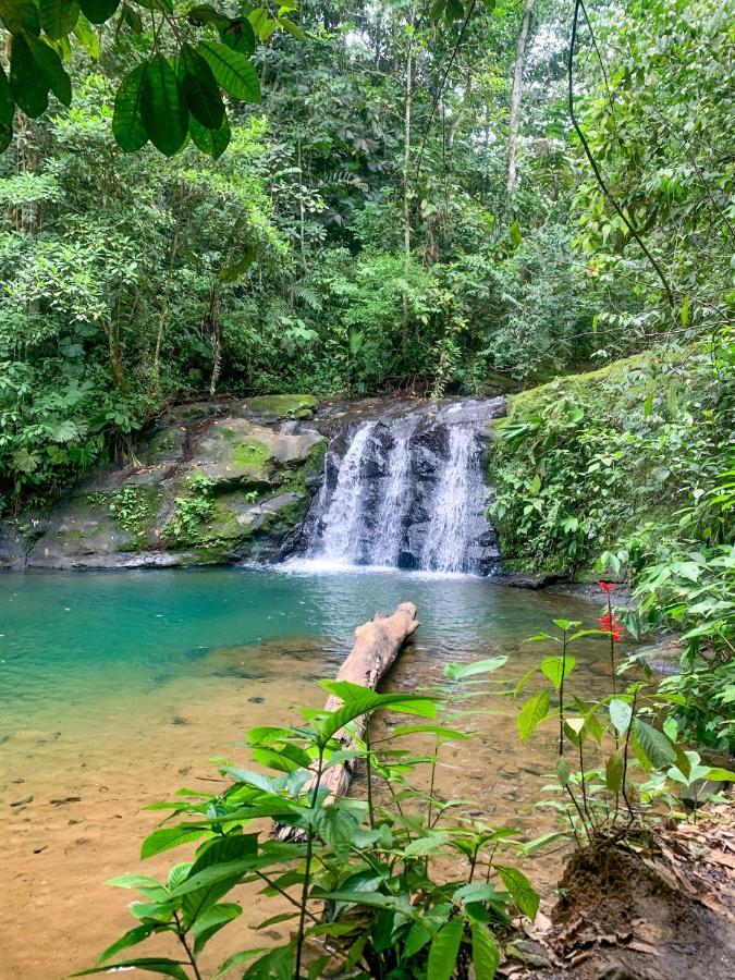 Cabinas Tito Cahuita Kültér fotó