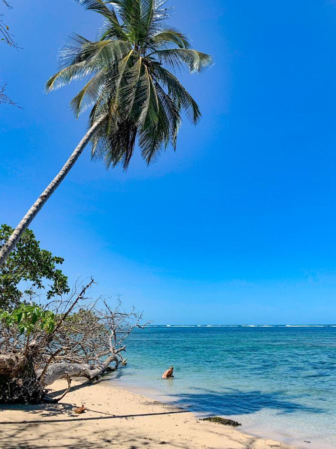 Cabinas Tito Cahuita Kültér fotó