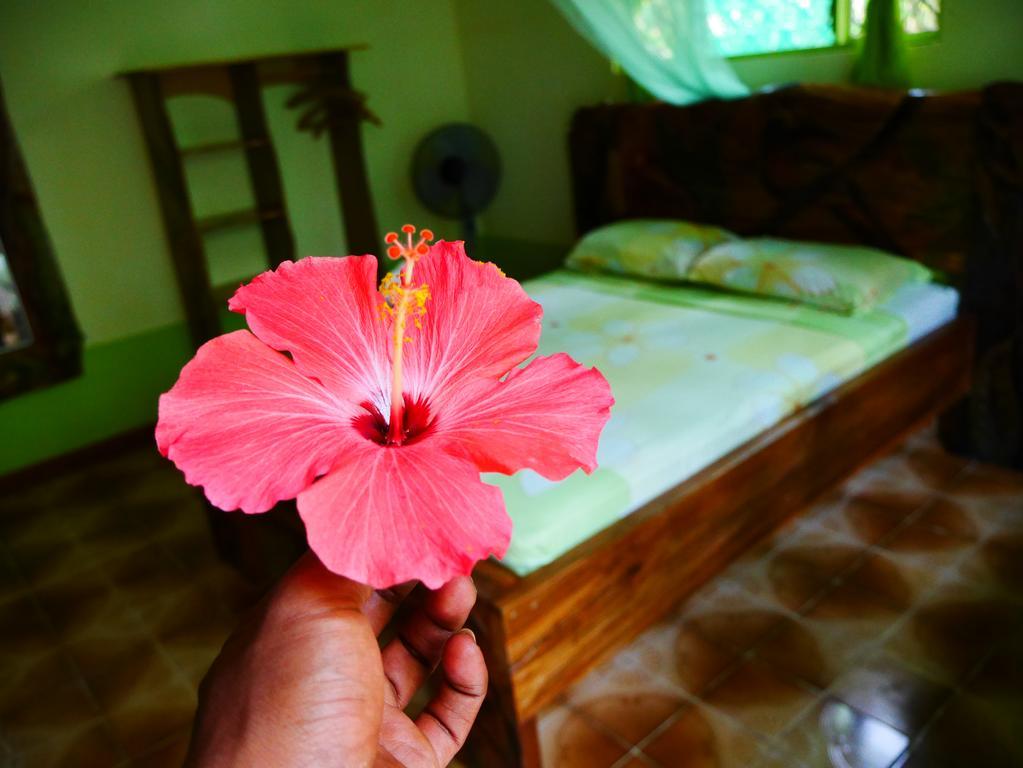 Cabinas Tito Cahuita Kültér fotó